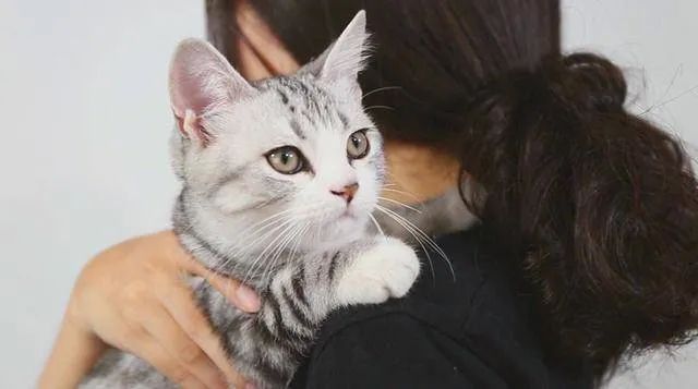 元旦丨新的一年，寵愛(ài)有加